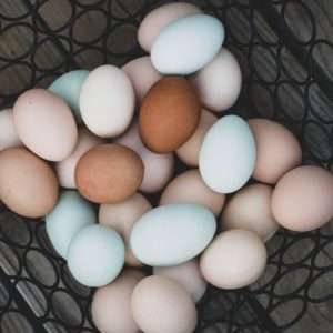 Eggs