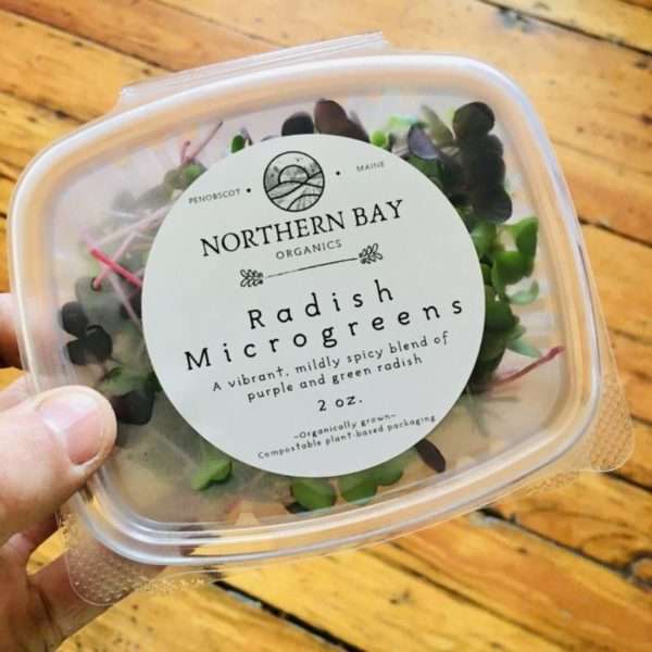 Radish Microgreens - Image 3