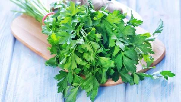 Fresh Parsley