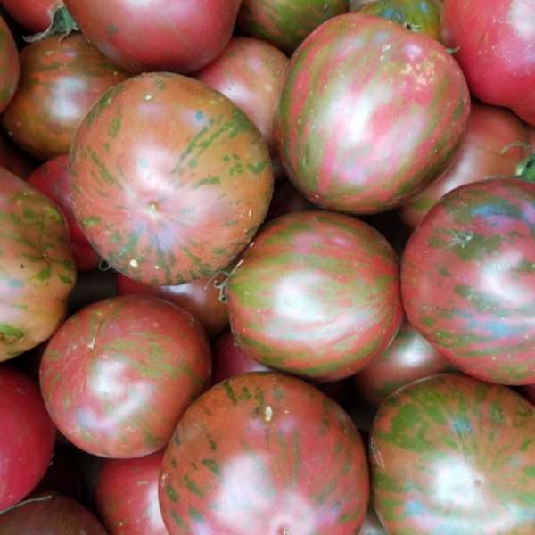 Pink Boar Tomatoes