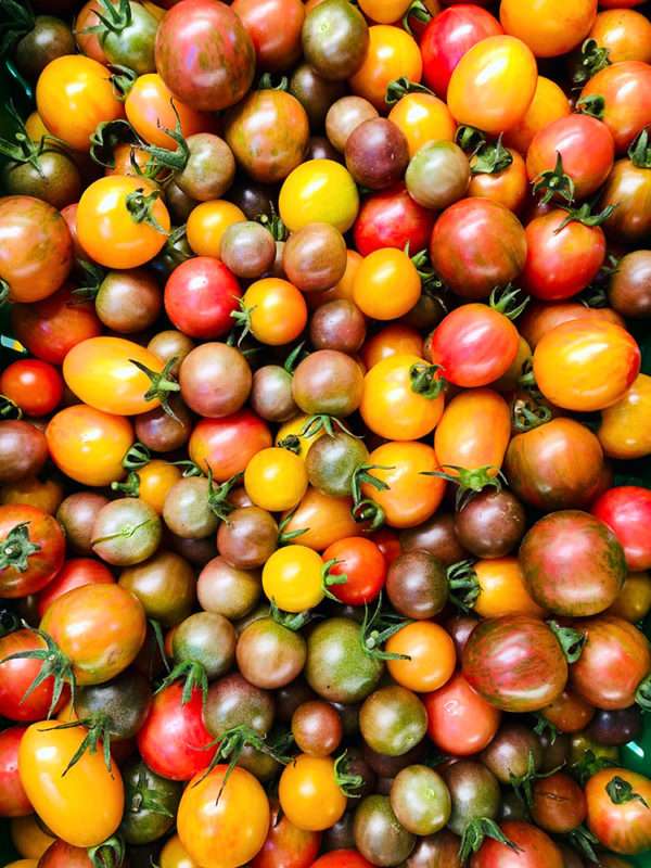 Cherry Tomatoes