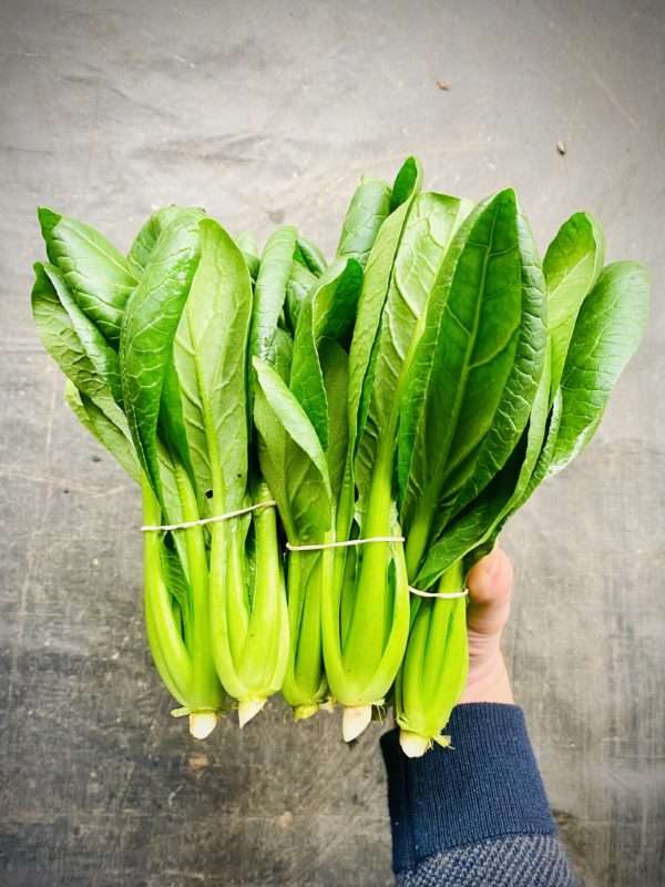 Bunched Tatsoi Asian Greens - Image 2
