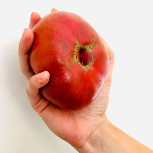 Heirloom Slicing Tomatoes - Image 3