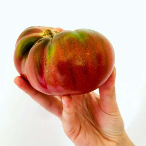 Heirloom Slicing Tomatoes - Image 4