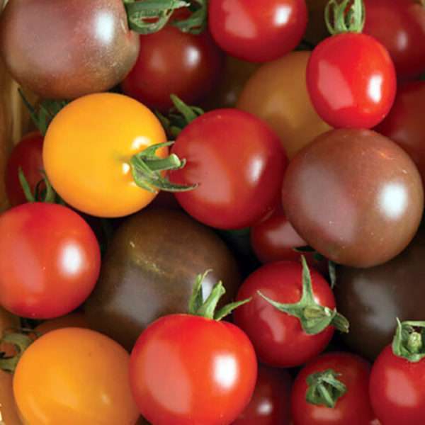 Heirloom Cherry Tomato Mix