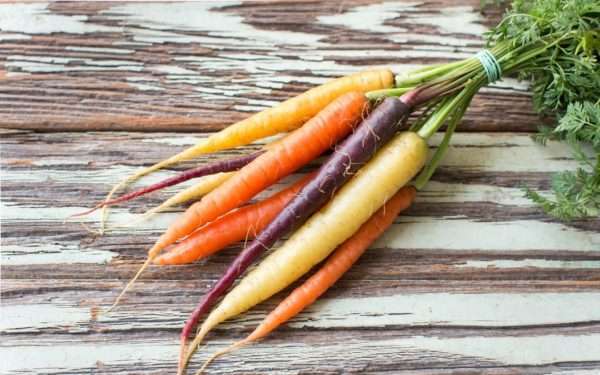 Rainbow Carrots
