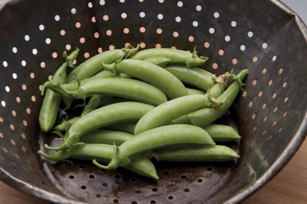 Sugar Snap Peas