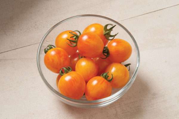 Sunrise Bumblebee Cherry Tomatoes