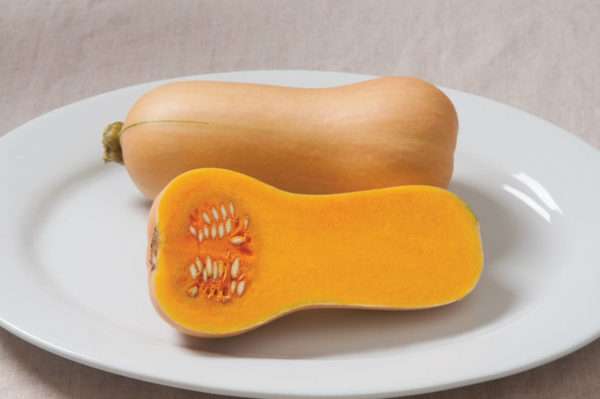 Butternut Squash