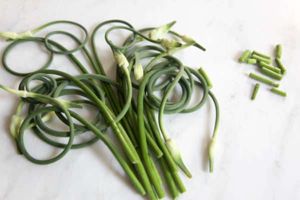 Garlic Scapes - Image 2
