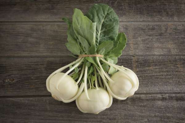 White Kohlrabi