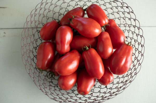 San Marzano Paste Tomatoes