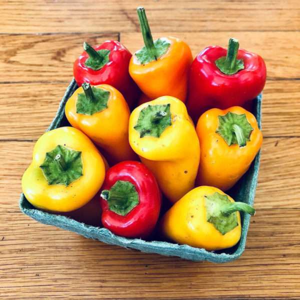 Colorful Lunch Box Peppers