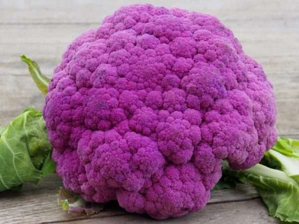 Purple Cauliflower