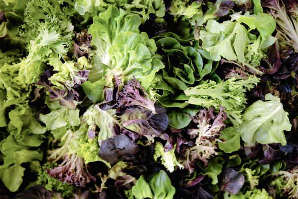 Salanova Lettuce Mix